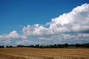 agriculture et phosphate