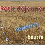 cereales petit dejeuner equilibre minceur