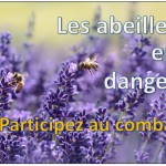 abeilles en danger apiculteurs en lutte