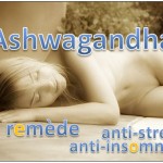 ashwagandha remède anti-stress