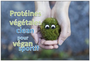 proteines vegetales vegan poudre