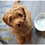 eviter faim et fringale regime