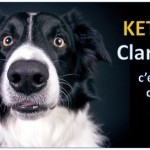 keto clarity livre jessy moore
