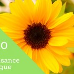 enzyme co-q10 coq10 ubiquinone