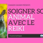 reiki animal